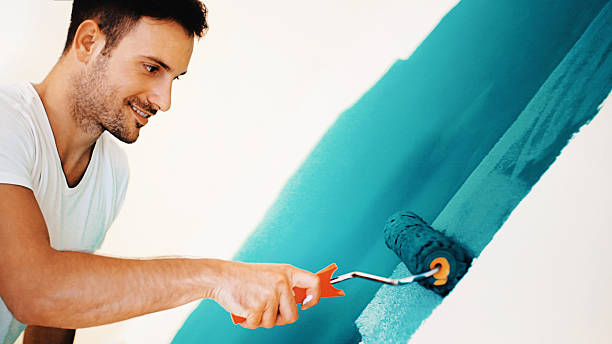 Reliable Wonder Lake, IL Dry wall and painting Solutions